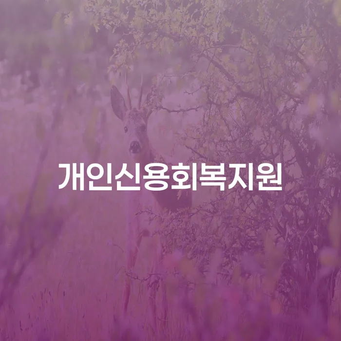 신용회복 빚독촉 지식이