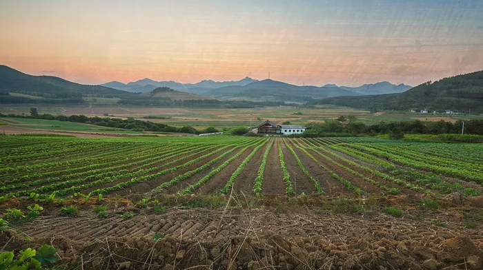 개인회생재신청