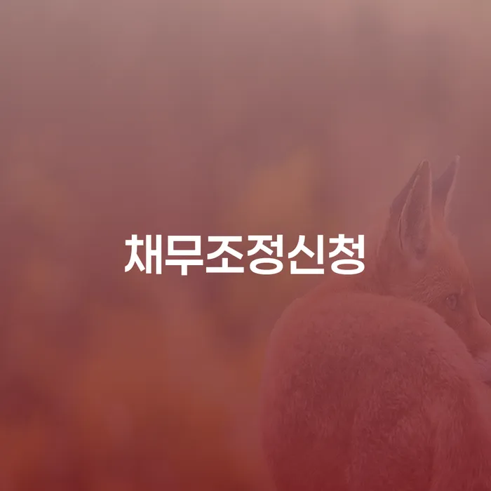개인회생변호사비용 개인회생으로 해결방법 상세히알기
