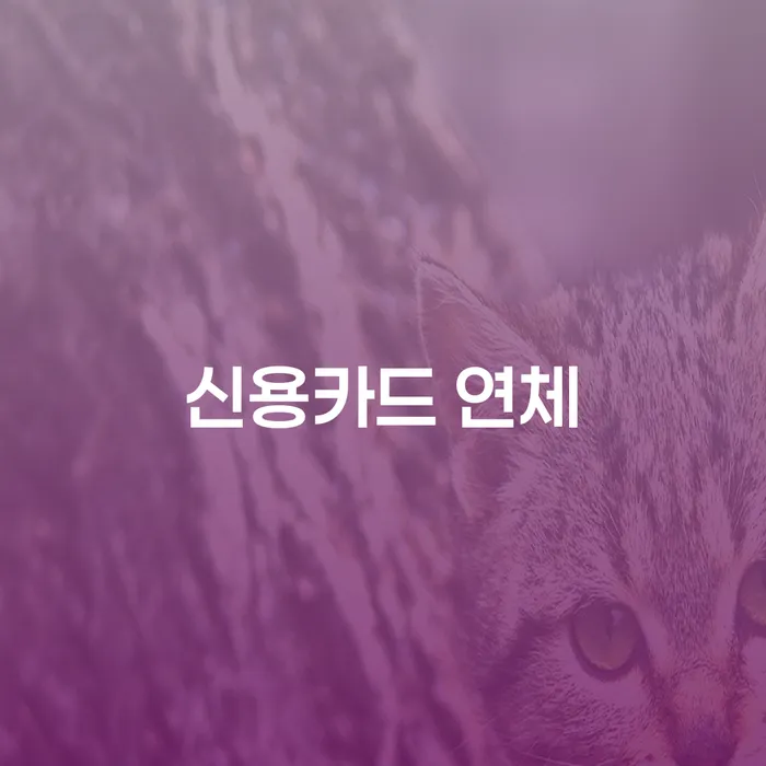 개인회생 재신청 빚 합법적인 빠른방법 가능한지