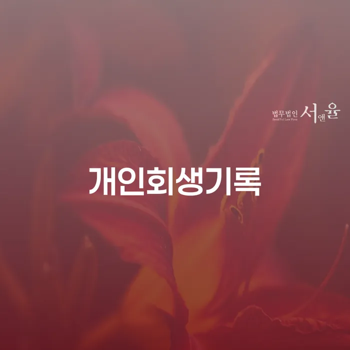 개인회생환불 개인회생으로 해결방법 잘하는 곳
