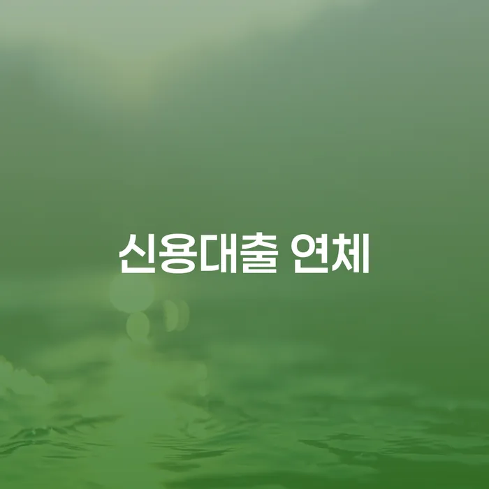 신용카드연체시 개인회생으로 해결 선택을 어떻게..