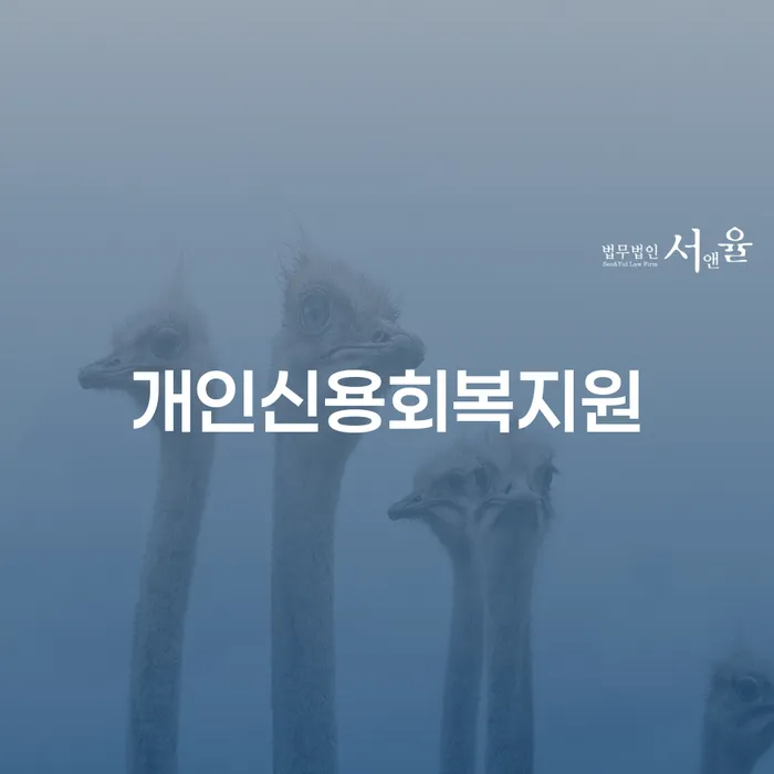 거창군 파산면책기간 개인회생으로 현명하게 잘하는 법률사무소