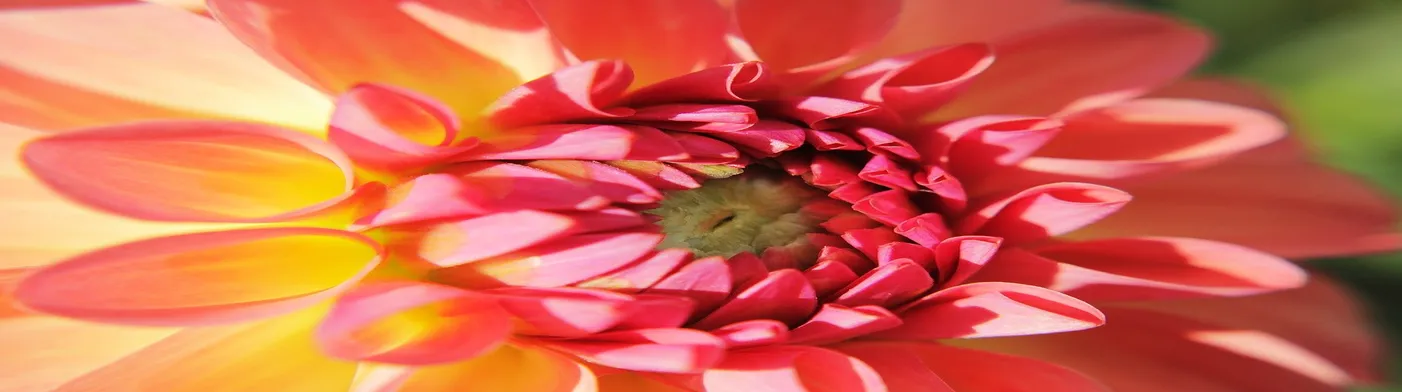 법무법인 서앤율