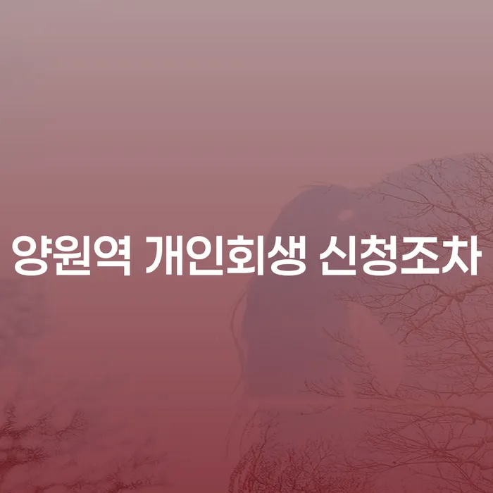 양원역 개인회생 신청조차