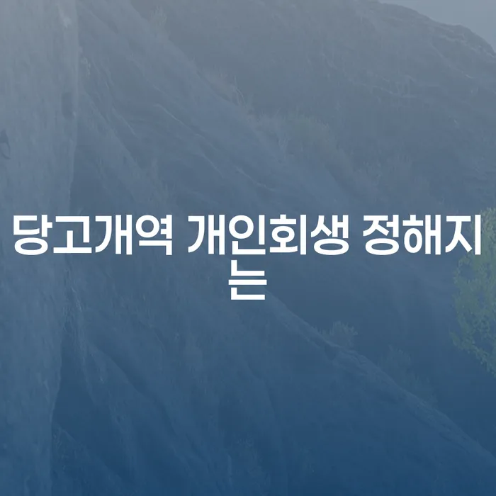 당고개역 개인회생 정해지는