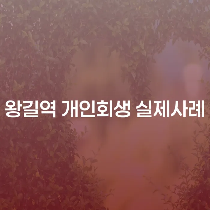 왕길역 개인회생 실제사례