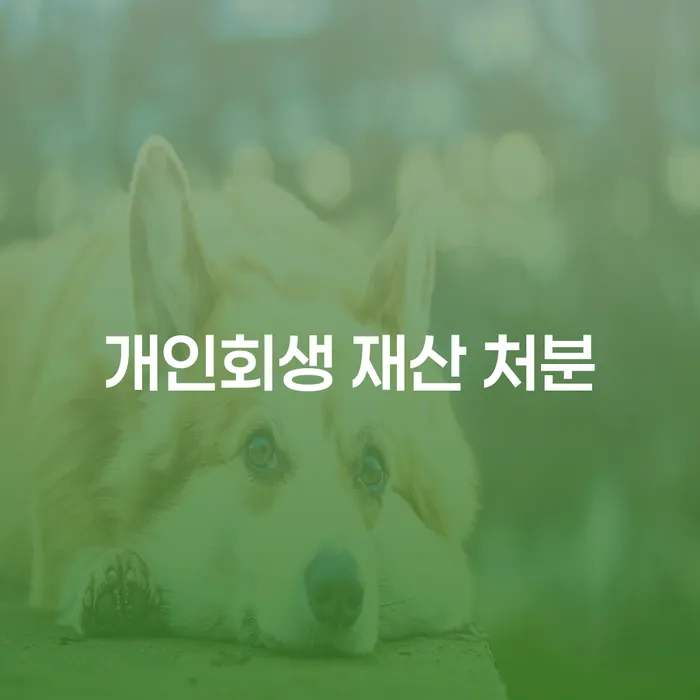 개인회생 재산 처분 없이 가능할까요?