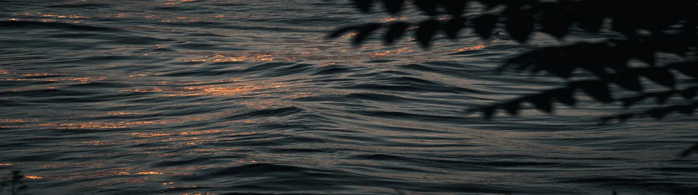 법무법인 서앤율