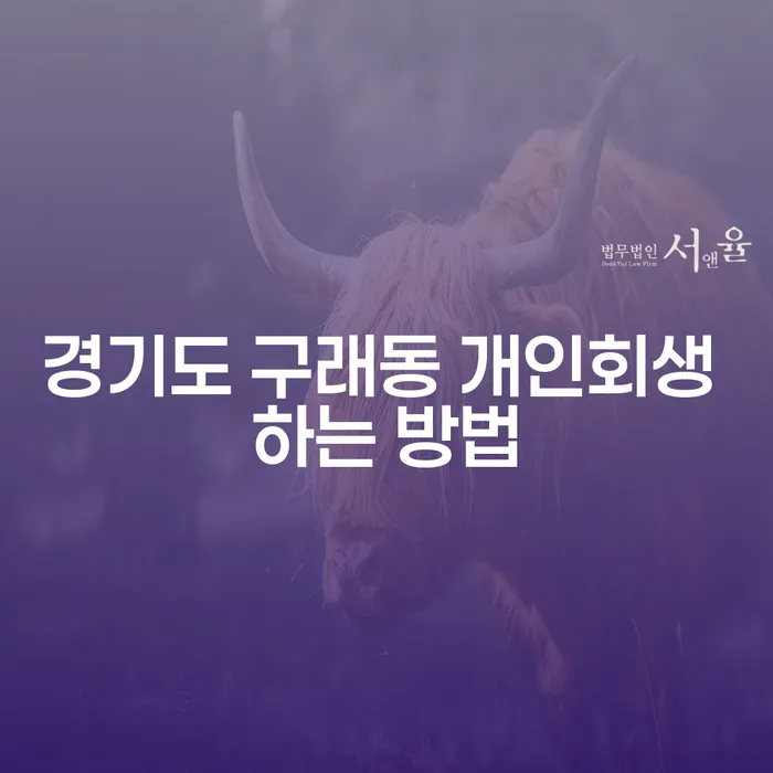 경기도 구래동에서 개인회생을 성공적으로 하는 방법은 무엇일까요?