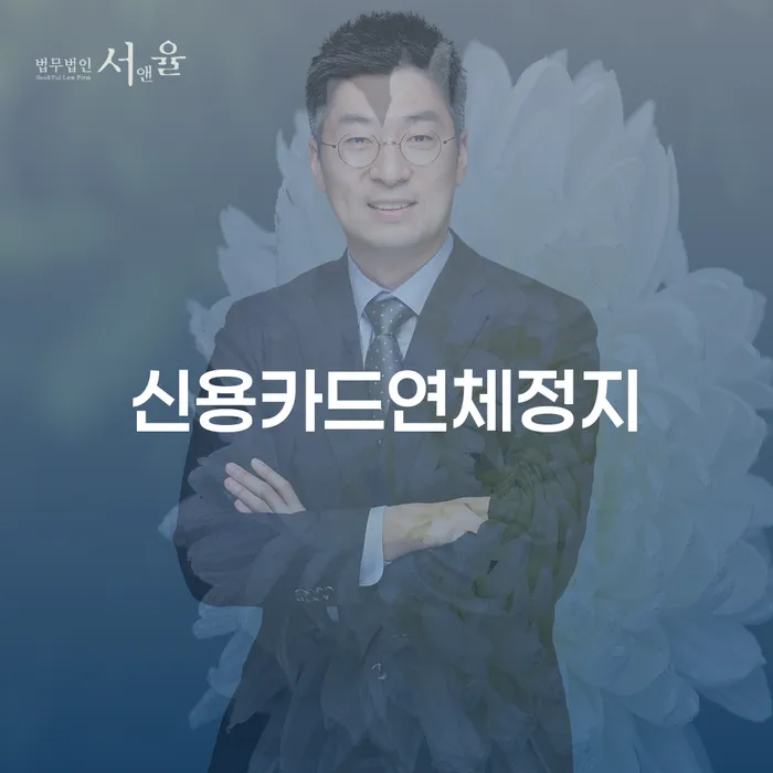 신용카드연체정지, 어떻게 해결할 수 있을까요?